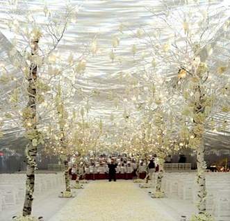 white wedding aisle trees winter