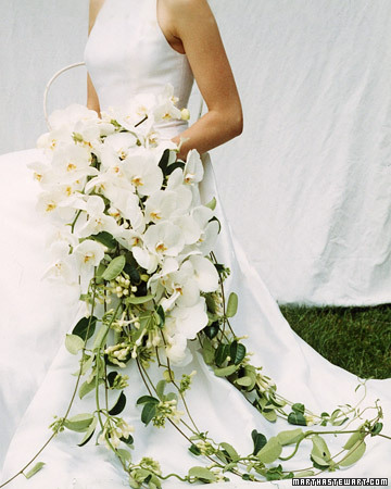  a99587 fal02 orchidcvr xl White Wedding Flowers