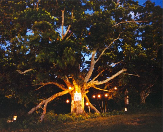 Candlelit lanterns hung from a designated Kissing Tree 