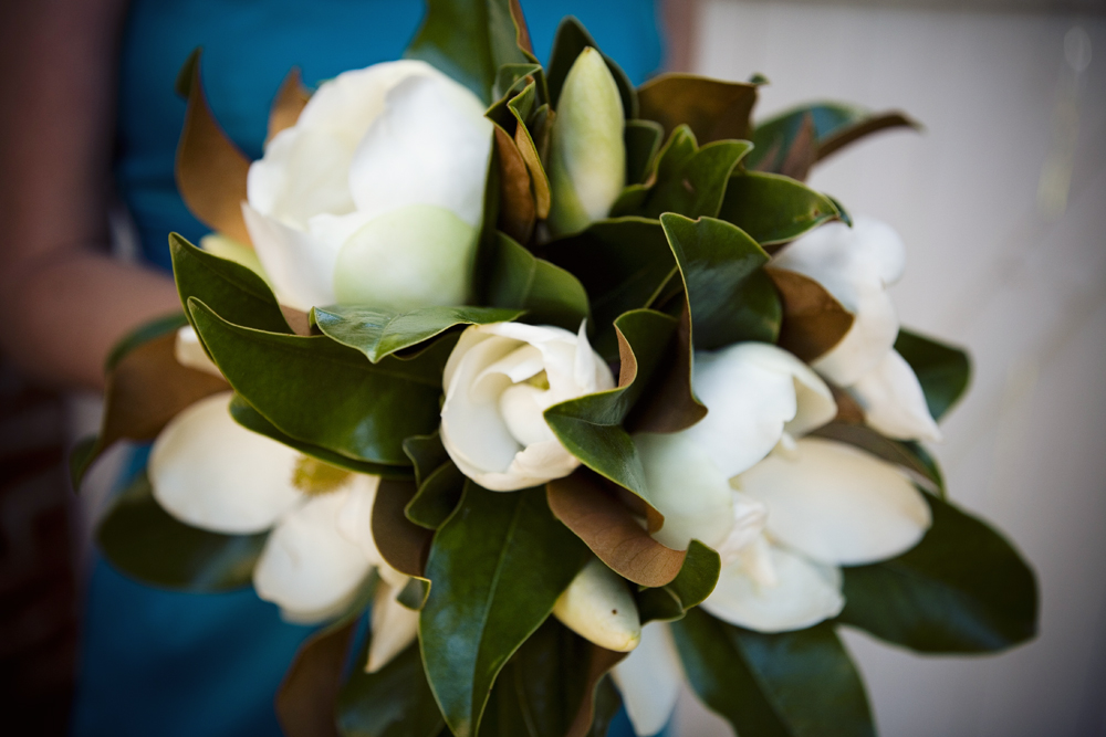 nk-magnolias.jpg